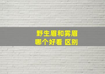 野生眉和雾眉哪个好看 区别